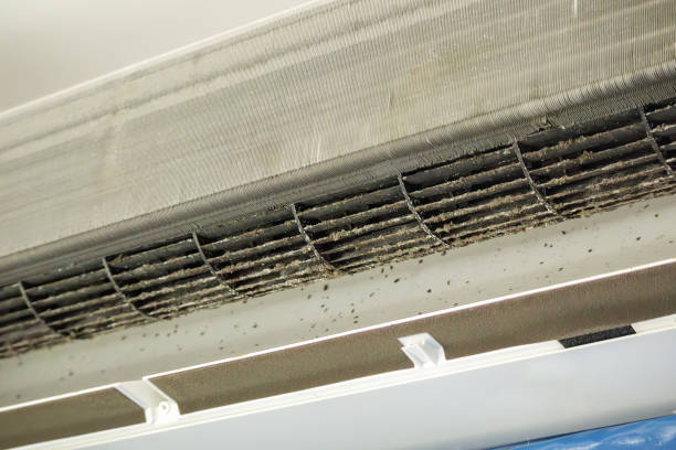Best HVAC System Cleaning  in Snyder, TX
